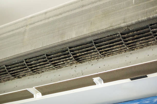 Best Air Duct Cleaning Near Me  in Snellville, GA